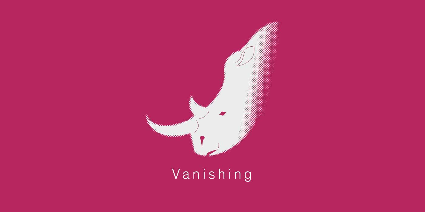 Vanishing by Ray Cassel